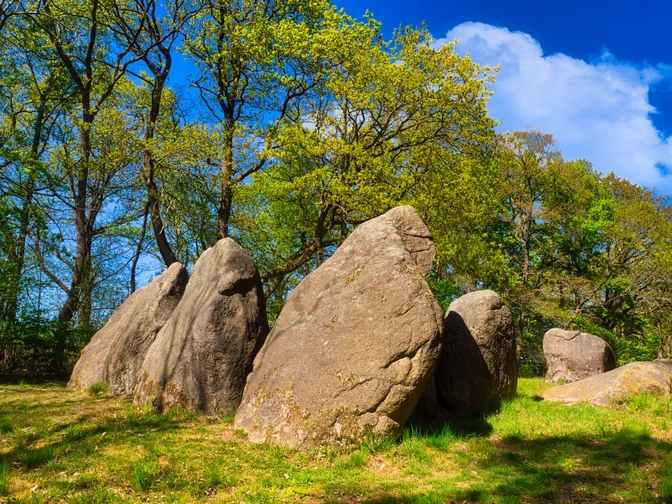 Visbeker Braut im Frühling Visbeker Braut im Frühling