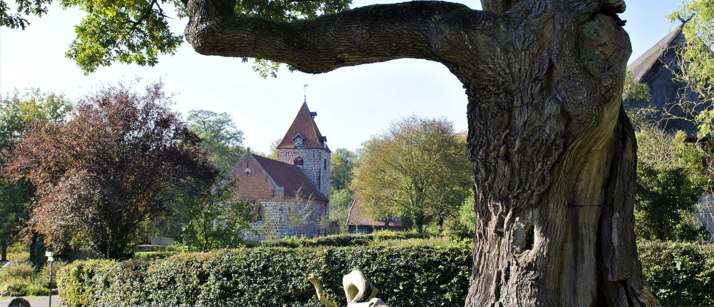 Dötlingen_Huntepadd_Gemeinde Dötlingen_Klaus Sekuly_41_Eiche und Kirche_Favorit 1.jpg