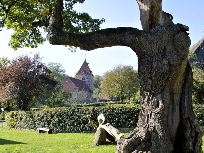 Dötlingen_Huntepadd_Gemeinde Dötlingen_Klaus Sekuly_41_Eiche und Kirche_Favorit 1.jpg