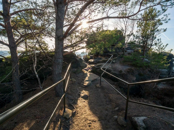 A narrow footpath with railings leads through a forest, sunlight shines through the trees and creates a peaceful atmosphere.