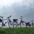 Räder auf dem Nordseedeich