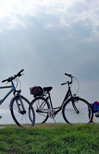 Räder auf dem Nordseedeich