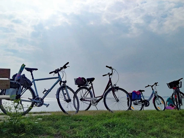 Räder auf dem Nordseedeich