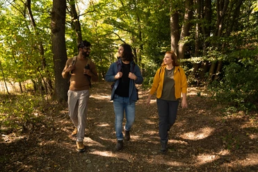 Drei Personen spazieren im Wald auf einem sonnendurchfluteten Pfad, umgeben von Bäumen.
