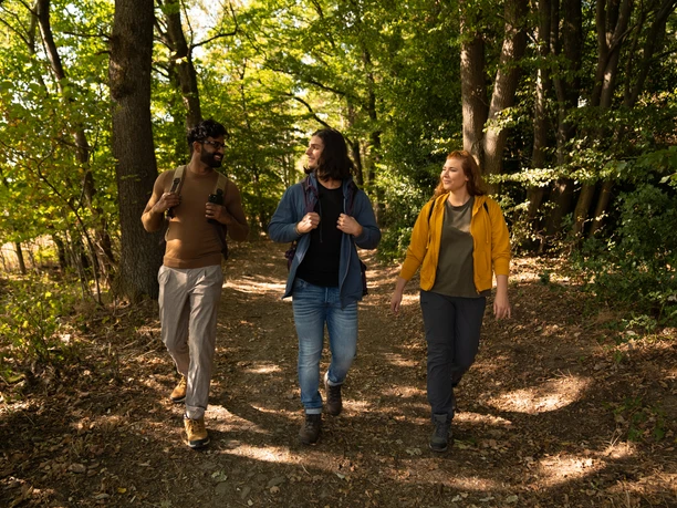 Bierweg Drei Personen spazieren im Wald auf einem sonnendurchfluteten Pfad, umgeben von Bäumen.