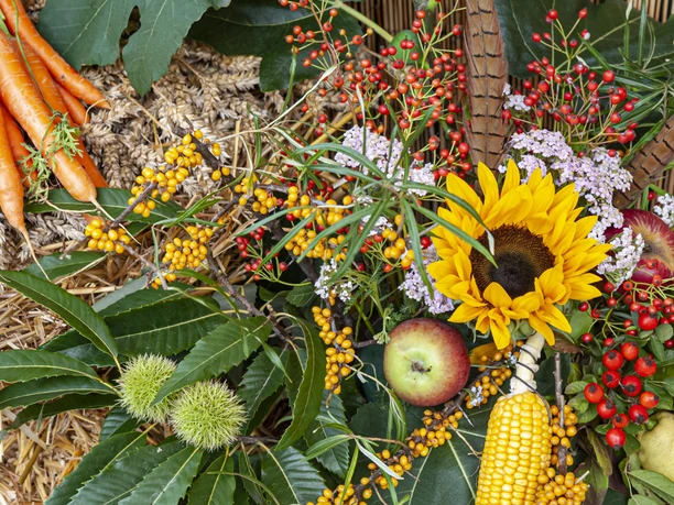 Herbstblumen