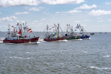 Büsum_Kutterregatta_01.jpg