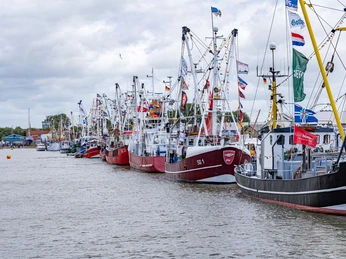 Büsum_Kutterregatta_03.jpg
