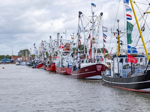 Kutterregatta in Büsum Geschmückte Fischkutter liegen am Hafen.