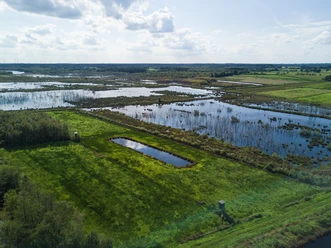 Theikenmeer 12 ©Naturpark Hümmling, Holger Leue – XL.jpg Weitläufige Moorlandschaft mit Wasserflächen, grünen Wiesen und vereinzelten Baumgruppen im Sonnenlicht.