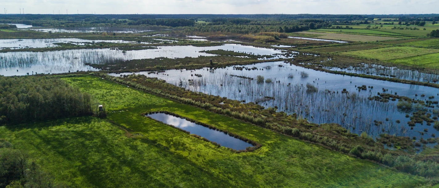 Theikenmeer 12 ©Naturpark Hümmling, Holger Leue – XL.jpg Weitläufige Moorlandschaft mit Wasserflächen, grünen Wiesen und vereinzelten Baumgruppen im Sonnenlicht.