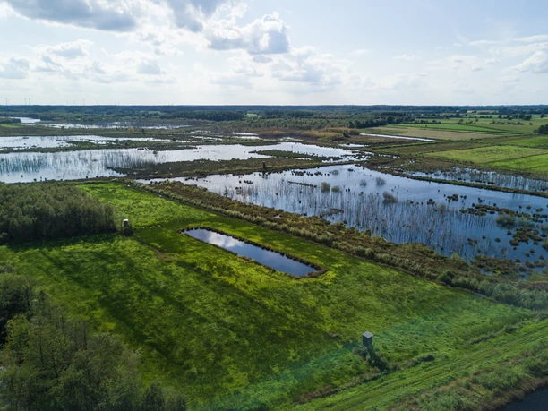 Weitläufige Moorlandschaft mit Wasserflächen, grünen Wiesen und vereinzelten Baumgruppen im Sonnenlicht.