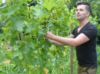 Dan Kirchner im Weinberg bei Loßburg