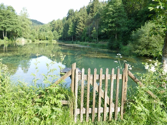 Muehlenweiher Betzweiler Wälde