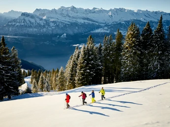 Schneeschuhtouren Personen stapfen mit Schneeschuhen durch die tiefverschneite Rigi-LandschaftPeople trudge through the snow-covered Rigi landscape on snowshoesDes personnes marchent en raquettes à travers le paysage enneigé du Rigi.