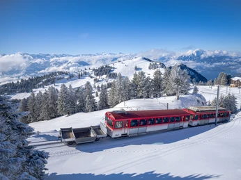 Le chemin de fer à crémaillère de Vitznau en hiver Die Zahnradbahn fährt durch die verschneite LandschaftThe cog railway travels through the snow-covered landscapeLe train à crémaillère traverse le paysage enneigé