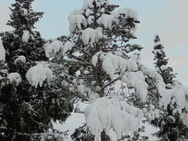 Winterstimmung