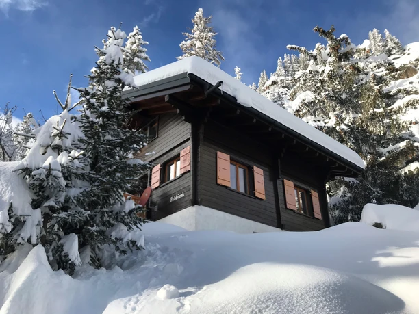 Winter 1