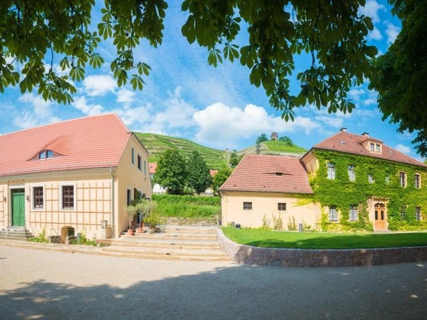 Anlage Weingut Hoflößnitz