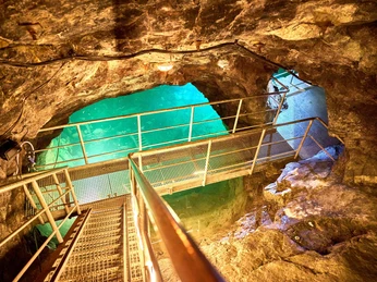 Copyright Marko Förster (220)