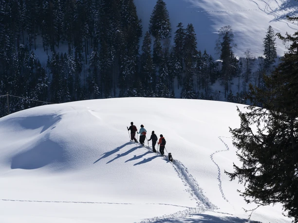 Schneeschuhtouren Personen stapfen mit Schneeschuhen durch die tiefverschneite Rigi-Landschaft