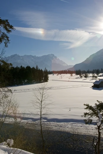 Föhrenheide im Winter 07.jpg