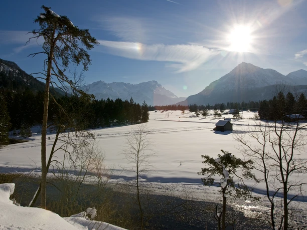 Föhrenheide im Winter 07.jpg