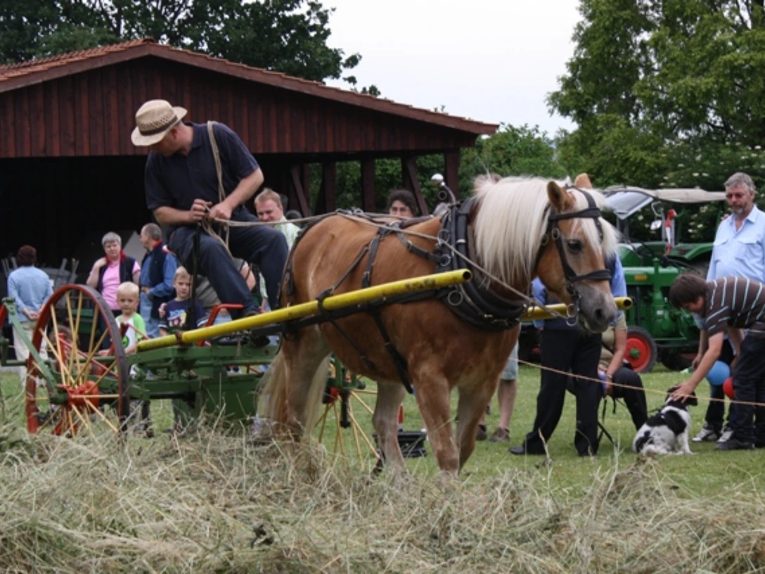Handwerkermarkt im Museumdorf Börry