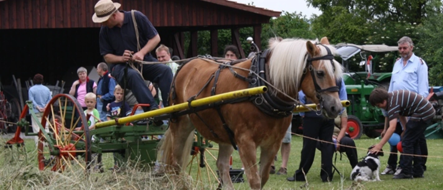 Handwerkermarkt im Museumdorf Börry