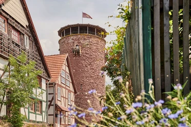Turm Burg Trendelburg