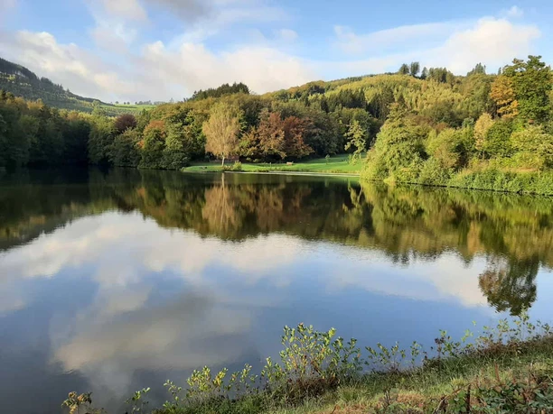Wandern im Bergischen Ein ruhiger See spiegelt bewaldete Hügel im Herbst, umgeben von üppigem Grün in Oberösterreich.