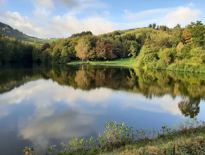 Wandern im Bergischen Ein ruhiger See spiegelt bewaldete Hügel im Herbst, umgeben von üppigem Grün in Oberösterreich.
