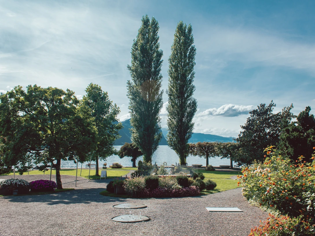 Kurpark Vitznau Sicht auf den KurparkView of the KurparkVue sur le Kurpark