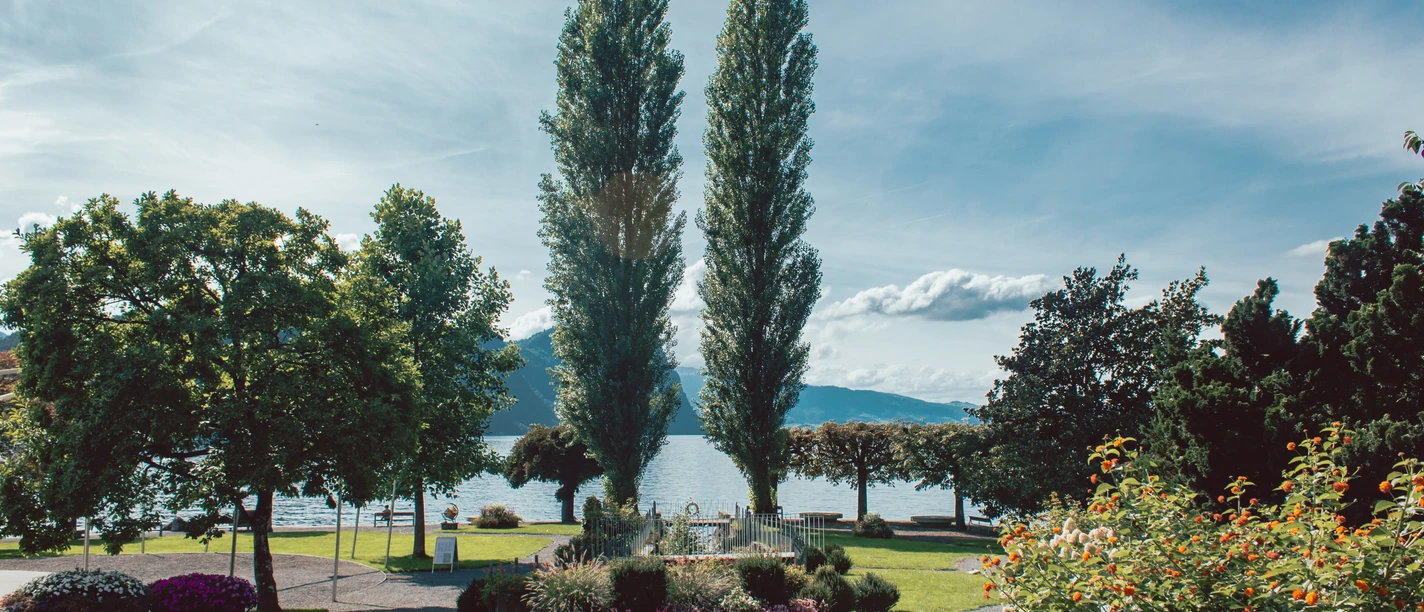 Kurpark Vitznau Vue sur le Kurpark