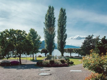 Kurpark Vitznau Sicht auf den KurparkView of the KurparkVue sur le Kurpark