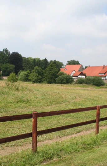 Kloster Loccum Kloster Loccum mit rotem Ziegeldach und Kirchturm inmitten grüner Wiesen und bewaldeter Hügel.