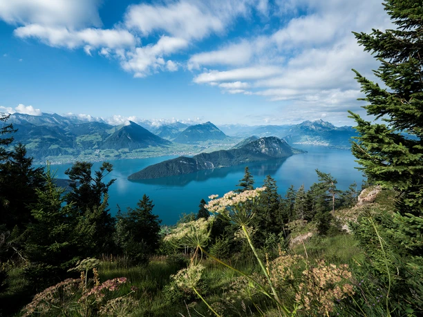 SGV_Rigi_Schwyz (21).jpg