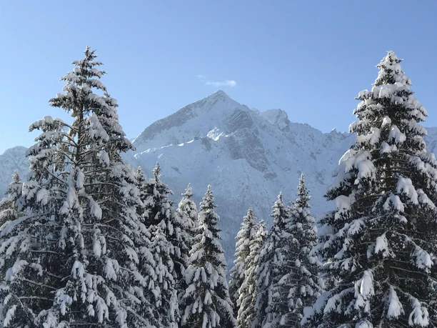 Ein schöner Wintertraumtag