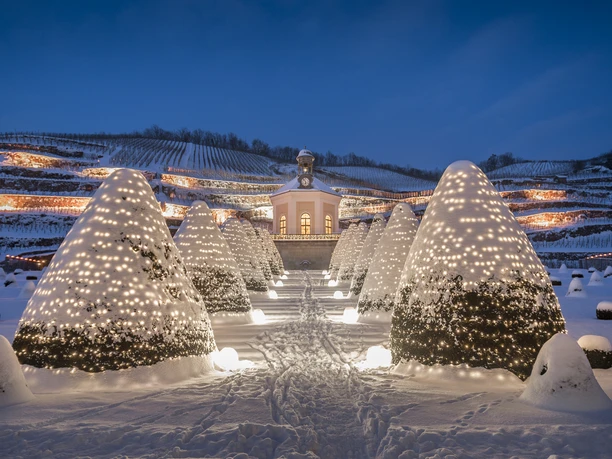 Schloss Wackerbarth im Winter_(c)_Rene Jungnickel_1.jpg Schloss Wackerbarth im Schnee, beleuchtete Bäume im Vordergrund und beleuchtete Weinberge.