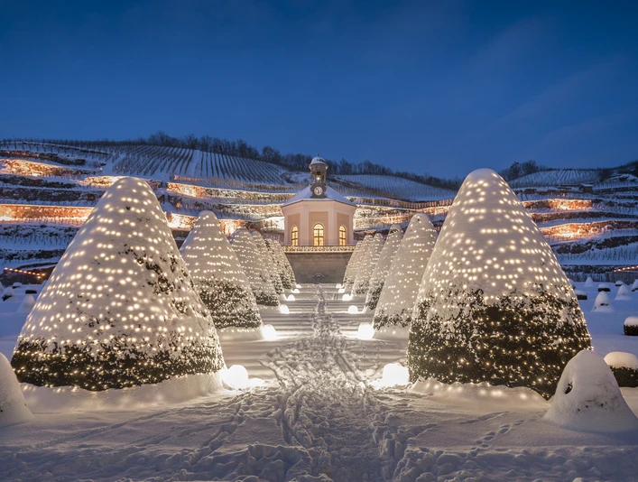 Schloss Wackerbarth im Winter_(c)_Rene Jungnickel_1.jpg Schloss Wackerbarth im Schnee, beleuchtete Bäume im Vordergrund und beleuchtete Weinberge.Wackerbarth Castle in the snow, illuminated trees in the foreground and illuminated vineyards.Zámek Wackerbarth na sněhu, osvětlené stromy v popředí a osvětlené vinice.Zamek Wackerbarth w śniegu, oświetlone drzewa na pierwszym planie i oświetlone winnice.Kasteel Wackerbarth in de sneeuw, verlichte bomen op de voorgrond en verlichte wijngaarden.Castello di Wackerbarth sotto la neve, alberi illuminati in primo piano e vigneti illuminati.