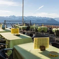Restaurant Hotel Alpina Aussenterrasse mit Blick auf die BergeOutdoor terrace with a view of the mountainsTerrasse extérieure avec vue sur les montagnes