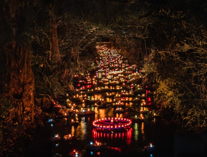 Der beleuchtete Tonbach