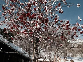 2C7EE771-A7FD-4F4E-A1DF-CB3FD4CA0A06