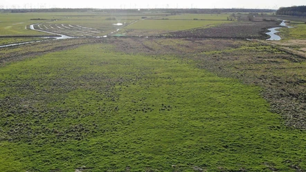 Westburg bei Kuden