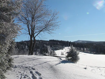 Blick zum Fichtelberg von Schießberg in Crottendor