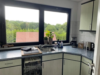 Küche Moderne Küche mit Spüle, Geschirrspüler, Kaffeemaschine und Blick auf grüne Landschaft durch Fenster.