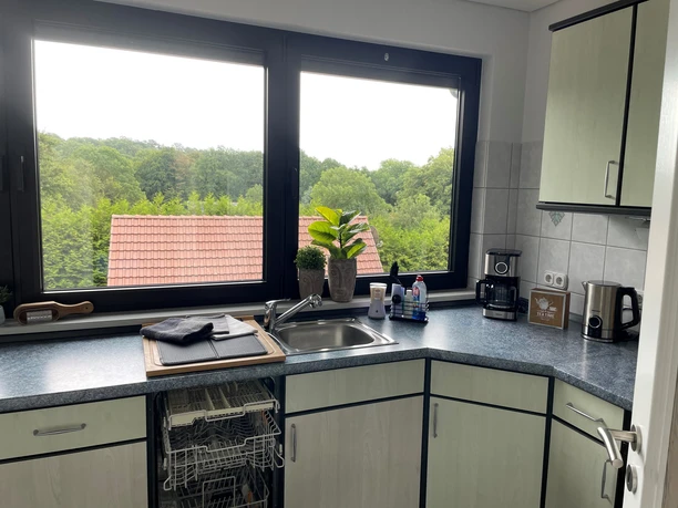 Küche Moderne Küche mit Spüle, Geschirrspüler, Kaffeemaschine und Blick auf grüne Landschaft durch Fenster.