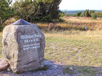 Gipfelstein auf dem Wilseder Berg Ganz oben auf dem Gipfel steht ein Vermessungsstein von Gauß