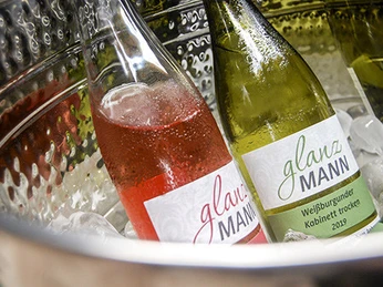 Weinprobe Biowein Glanzmann 3