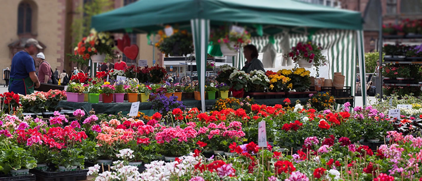 blumenmarkt Liebfrauenberg